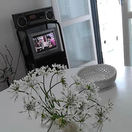 Apartment In Istrien 17397 *
